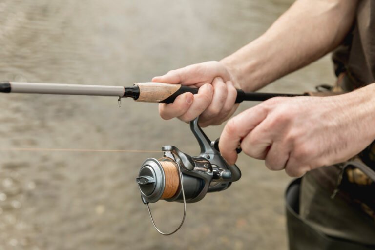 Best Trout Spinning Reels