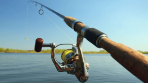 best Telescopic Fishing Rods