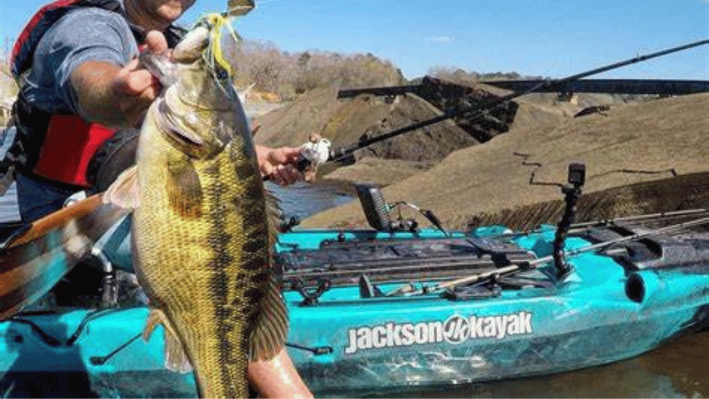 effective bass baits for spring season