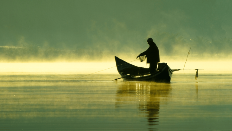 Best Times To Go Fishing