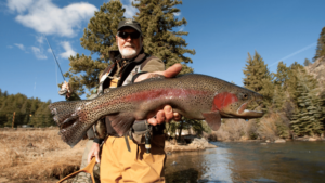 Ultimate Trout Fishing Guide