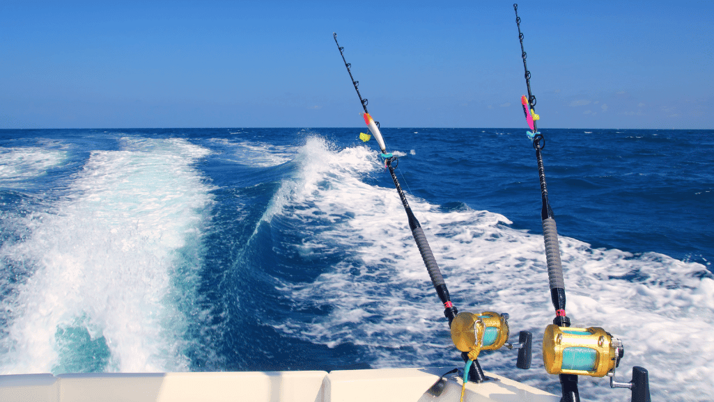 offshore fishing rods