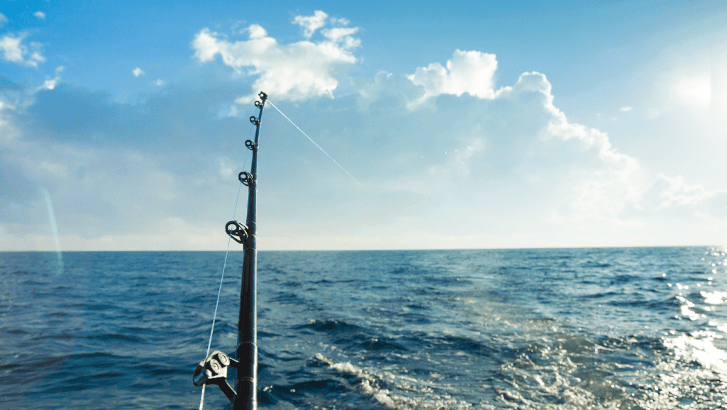 heavy-duty fishing rods for deep sea fishing