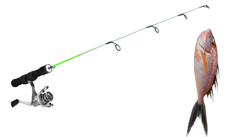 affordable fishing rod and reel combo for beginners